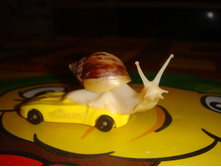 DSC03585.JPG