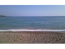 IMAG0081.jpg