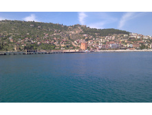 IMAG0115.jpg