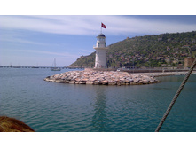 IMAG0118.jpg