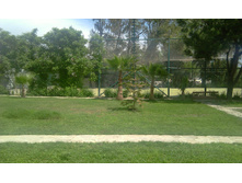 IMAG0197.jpg