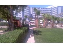 IMAG0201.jpg