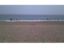IMAG0224.jpg