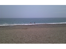 IMAG0225.jpg