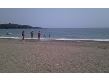 IMAG0226.jpg