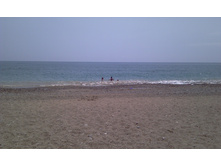 IMAG0227.jpg