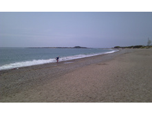 IMAG0230.jpg