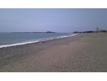 IMAG0231.jpg