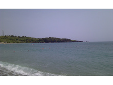 IMAG0233.jpg