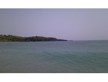 IMAG0235.jpg