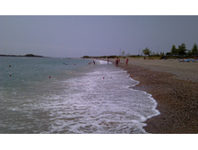 IMAG0237.jpg