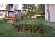 IMAG0260.jpg