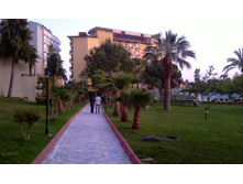 IMAG0261.jpg