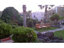 IMAG0263.jpg