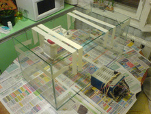 DSC01018.JPG