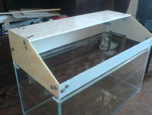 DSC01058.JPG