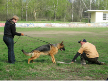 0757.jpg