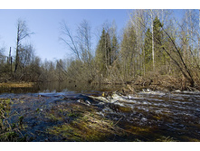 _DSC7017.jpg