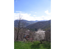 IMG_6411.jpg