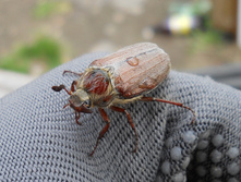 DSCN5138.JPG