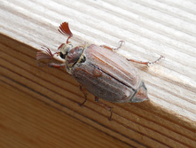DSCN5142.JPG