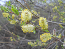 DSCN5212.JPG