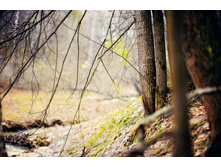 DSC_3383_2.jpg