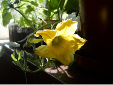 DSCN5165-3.JPG