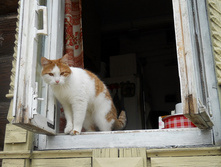 DSCN5143-1.JPG