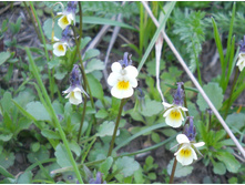 DSCN5315.JPG