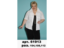 61913(750-00),.jpg