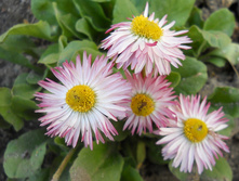 DSCN5325.JPG