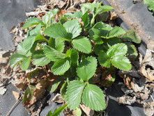 DSCN5335.JPG