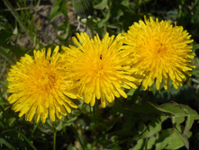 DSCN5350.JPG
