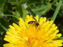 DSCN5352.JPG