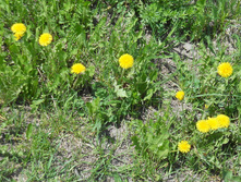 DSCN5336.JPG