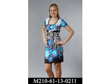 m210-61-13-0211.jpg