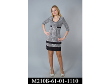 m210b-61-01-1110.jpg