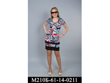 m210b-61-14-0211.jpg