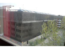 dnm 001.JPG
