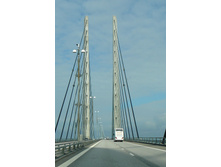 dnm 013.JPG