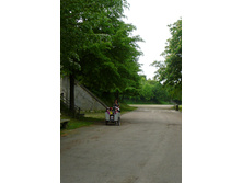dnm 043.JPG