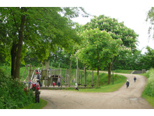 dnm 047.JPG