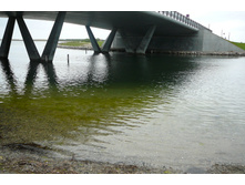 dnm 057.JPG
