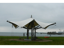 dnm 066.JPG