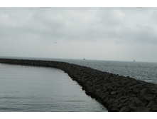 dnm 080.JPG
