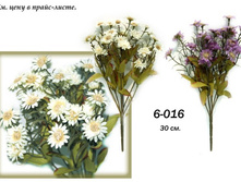 6-016a.jpg