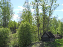 DSCN5459.JPG