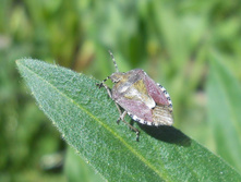 DSCN5447.JPG