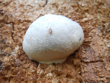 DSCN5485.JPG